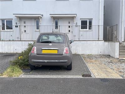 Picture 15